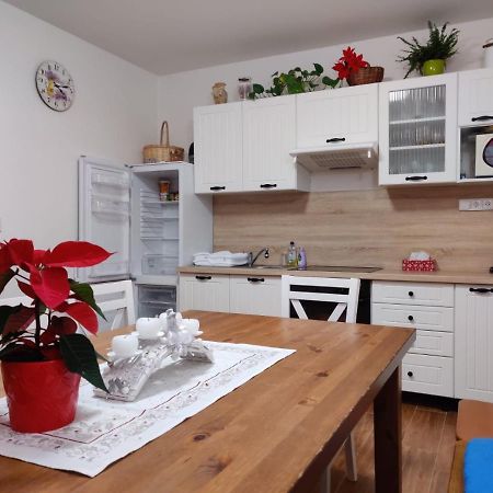 Apartman Pod Bozim Darem Jáchymov Buitenkant foto