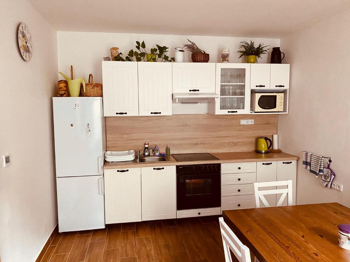 Apartman Pod Bozim Darem Jáchymov Buitenkant foto